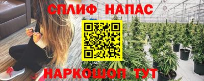 наркотики Гай